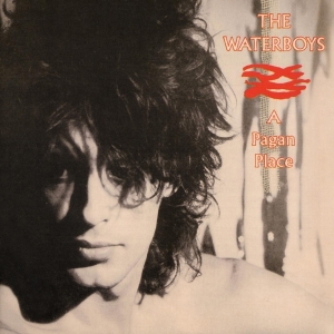 The Waterboys - A Pagan Place in the group Minishops /  at Bengans Skivbutik AB (1016422)