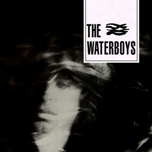 The Waterboys - Waterboys in the group Minishops /  at Bengans Skivbutik AB (1020032)