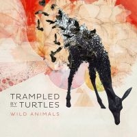 Trampled By Turtles - Wild Animals in the group CD / Pop-Rock at Bengans Skivbutik AB (1032211)