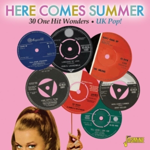 Various Artists - Here Comes Summer - 30 One Hit Wond in the group CD / Pop-Rock at Bengans Skivbutik AB (1111476)