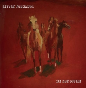 Little Tornados - We Are Divine in the group CD / Pop at Bengans Skivbutik AB (1125534)