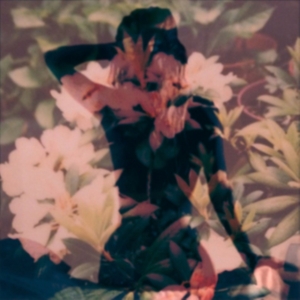 Modern Vices - Modern Vices in the group OTHER / Övrigt / at Bengans Skivbutik AB (1131144)