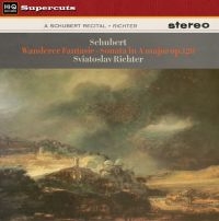 Schubert - Wanderer Fantasie/Sonata In A Major in the group VINYL / Pop-Rock at Bengans Skivbutik AB (1134450)