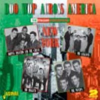 Blandade Artister - Doo Wop Across America (The Italian in the group CD / Pop-Rock at Bengans Skivbutik AB (1145949)