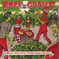 V/A - Back From The Grave Vol 10 - Vol.10 - Back From The Grave in the group VINYL / Pop-Rock at Bengans Skivbutik AB (1166173)