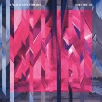 A Place To Bury Strangers - Transfixiation in the group CD / Pop-Rock at Bengans Skivbutik AB (1181521)
