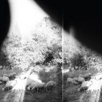 Godspeed You! Black Emperor - Asunder, Sweet And Other Distress in the group Minishops /  Godspeed You at Bengans Skivbutik AB (1263305)