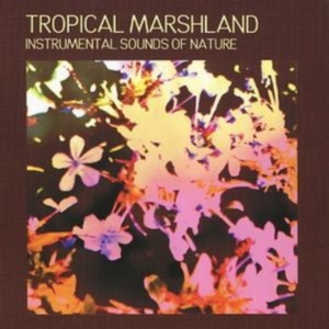 Instrumental Sounds Of Nature - Tropical Marshland in the group CD / Pop-Rock at Bengans Skivbutik AB (1267032)