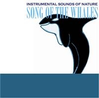 Instrumental Sounds Of Nature - Song Of The Whales in the group OUR PICKS / Christmas gift tip CD at Bengans Skivbutik AB (1267033)