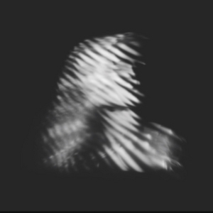 Nuborg - Sliding Off The Edge Of The World in the group CD / Pop-Rock at Bengans Skivbutik AB (1271343)