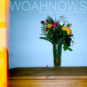 Woahnows - Understanding And Everything Else in the group VINYL / Pop-Rock at Bengans Skivbutik AB (1275696)