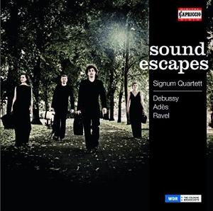 Various Composers - Soundescapes in the group OUR PICKS / Christmas gift tip CD at Bengans Skivbutik AB (1309918)