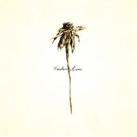 Patrick Watson - Wooden Arms in the group OUR PICKS / Christmas gift tip CD at Bengans Skivbutik AB (1333941)