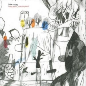 In The Country - Losing Stones, Collecting Bones in the group OTHER / Övrigt / at Bengans Skivbutik AB (1475356)