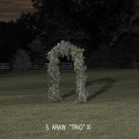 S. Araw Trio Xi - Gazebo Effect in the group VINYL / Pop-Rock at Bengans Skivbutik AB (1475402)