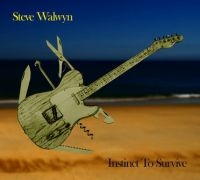 Walwyn Steve - Instinct To Survive in the group CD / Hårdrock,Pop-Rock at Bengans Skivbutik AB (1484019)