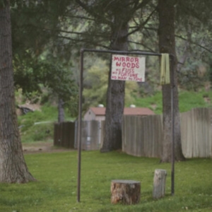 Creeping Pink - Mirror Woods in the group OTHER / Övrigt / at Bengans Skivbutik AB (1484028)