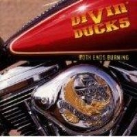 DIVIN DUCKS - BOTH ENDS BURNING in the group OUR PICKS / Christmas gift tip CD at Bengans Skivbutik AB (1510711)