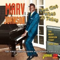 Johnson Marv - You Got What It Takes (The Marv Joh in the group CD / Pop-Rock at Bengans Skivbutik AB (1561105)