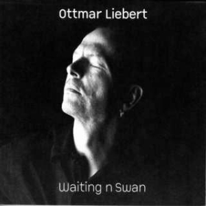 Liebert Ottmar - Waiting N Swan in the group CD / Pop at Bengans Skivbutik AB (1713232)