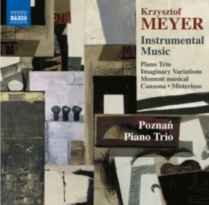 Meyer Krzysztof - Instrumental Music in the group Externt_Lager / at Bengans Skivbutik AB (1735007)
