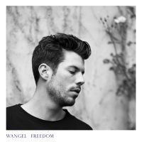 Wangel - Freedom in the group VINYL / Dansk Musik,Pop-Rock at Bengans Skivbutik AB (1735352)