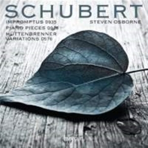 Schubert Franz - Impromptus in the group OUR PICKS / Christmas gift tip CD at Bengans Skivbutik AB (1787163)