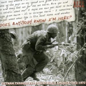 Various Artists - Does Anybody Know I'm Here? Vietnam in the group CD / Pop-Rock at Bengans Skivbutik AB (1811207)