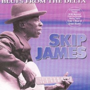 James Skip - Blues From The Delta in the group CD / Blues,Country,Jazz at Bengans Skivbutik AB (1816360)