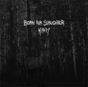 Born For Slaughter / Myteri - Split in the group VINYL / Rock at Bengans Skivbutik AB (1817857)