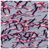 DEFTONES - GORE in the group OUR PICKS / Christmas gift tip CD at Bengans Skivbutik AB (1872533)