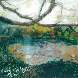 Trembling Bells - Wide Majestic Aire in the group VINYL / Pop-Rock at Bengans Skivbutik AB (1874309)