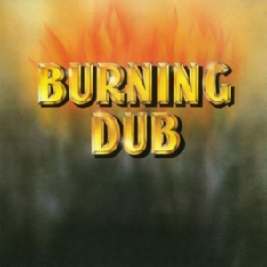 REVOLUTIONARIES - BURNING DUB in the group VINYL / Reggae at Bengans Skivbutik AB (1878770)