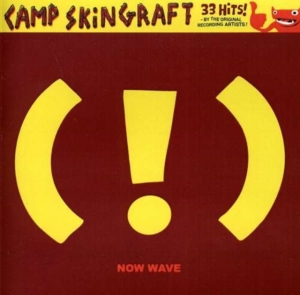 Blandade Artister - Camp Skin Graft: Now Wave in the group OTHER / Övrigt / at Bengans Skivbutik AB (1908012)