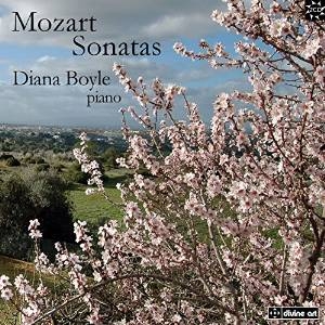 Mozart W A - Piano Sonatas in the group OUR PICKS / Christmas gift tip CD at Bengans Skivbutik AB (1911011)