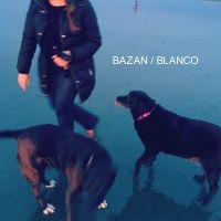 Bazan David - Blanco in the group CD / Pop-Rock at Bengans Skivbutik AB (1912504)