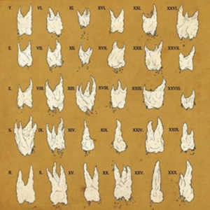 Yeesh - Confirmation Bias in the group VINYL / Pop-Rock at Bengans Skivbutik AB (2004747)