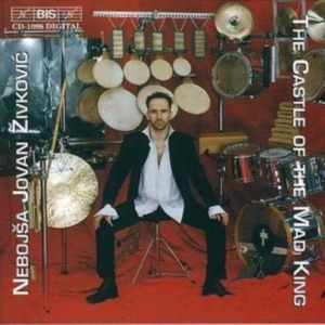 Zivkovic Nebojsa Jovan - Castle Of Mad King in the group Externt_Lager / at Bengans Skivbutik AB (2006681)