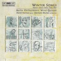 Various - Winter Songs in the group Externt_Lager /  at Bengans Skivbutik AB (2006773)