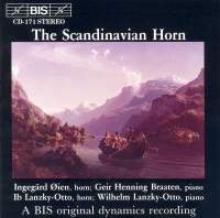 Various - Scandinavian Hn in the group Externt_Lager /  at Bengans Skivbutik AB (2007201)