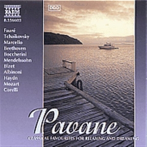 Various - Pavane in the group Externt_Lager /  at Bengans Skivbutik AB (2009787)