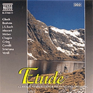 Various - Etude in the group OUR PICKS / Christmas gift tip CD at Bengans Skivbutik AB (2010809)