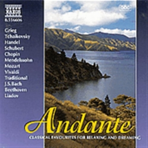 Various - Andante in the group Externt_Lager /  at Bengans Skivbutik AB (2010832)