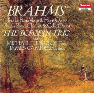 Brahms - Piano Violin & Horn in the group OUR PICKS / Christmas gift tip CD at Bengans Skivbutik AB (2012274)