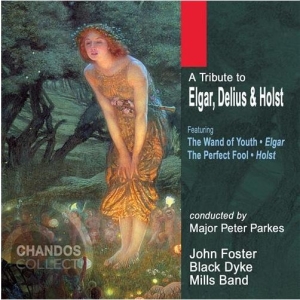 Various - Tribute To Elgar / Delius / Ho in the group OUR PICKS / Christmas gift tip CD at Bengans Skivbutik AB (2013791)