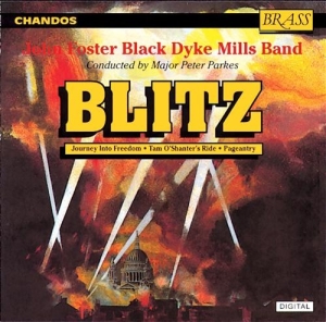 Various - Blitz in the group Externt_Lager /  at Bengans Skivbutik AB (2013792)