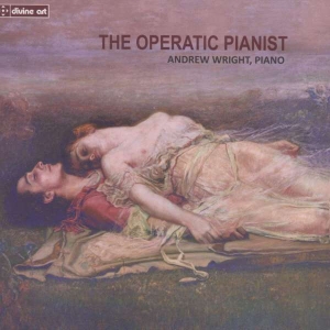 Various - The Operatic Pianist in the group OUR PICKS / Christmas gift tip CD at Bengans Skivbutik AB (2016671)