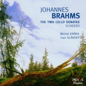 Gary Hoffman - Brahms: Cello Sonatas in the group CD / Klassiskt,Övrigt at Bengans Skivbutik AB (2034235)