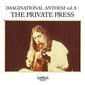 Blandade Artister - Imaginational Anthem 8Private Pres in the group VINYL / Pop at Bengans Skivbutik AB (2060787)