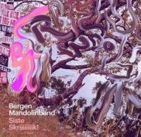 Bergen Mandolin Band - Siste Skrik in the group VINYL / Country at Bengans Skivbutik AB (2116168)